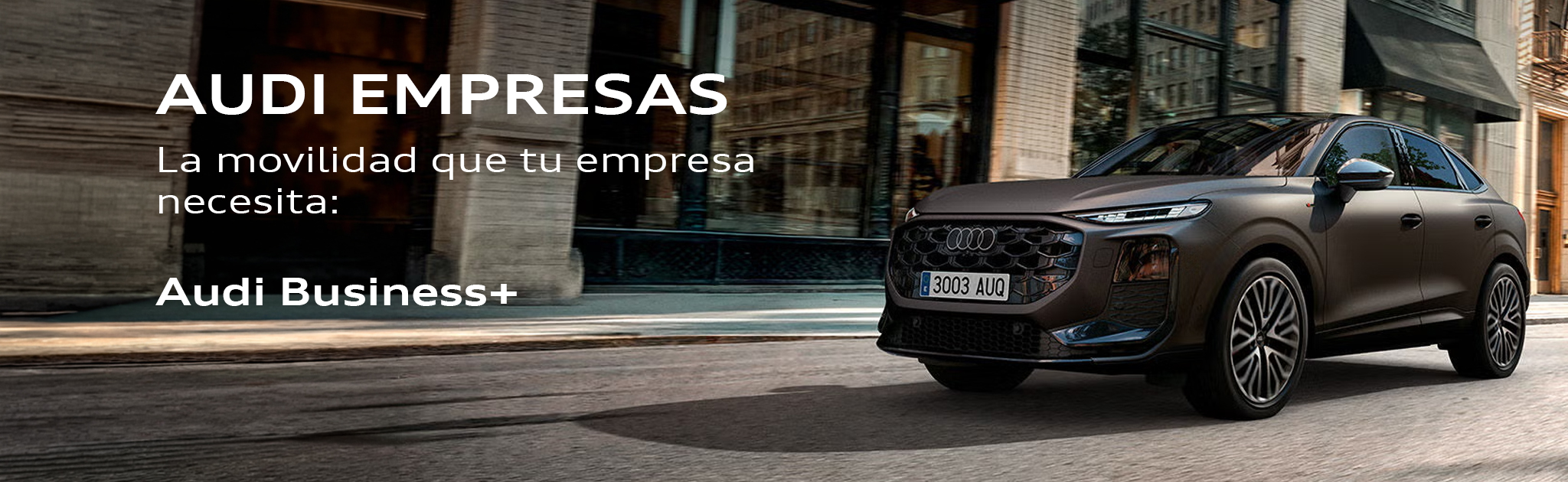 Audi Empresas Banner